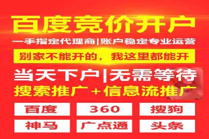 百度广告投放策略与效果评估案例
